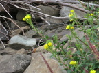 IMG 4359